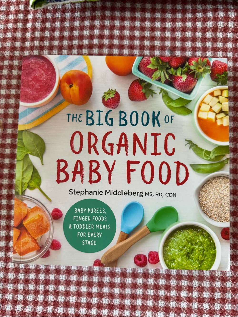 Barnes & Noble The Big Book of Organic Baby Food